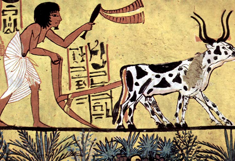 Pintura retratando um fazendeiro arando na câmara funerária de Sennedjem.