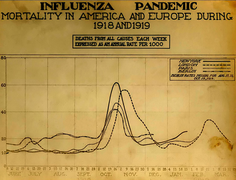Mortality from the 1918 influenza pandemic