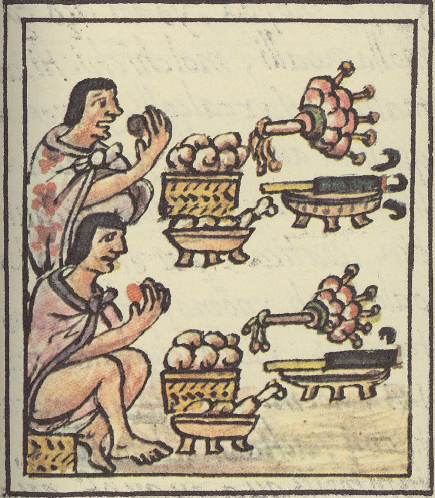 What Did the Aztecs Eat and Drink? Mexican Food of the Middle Ages