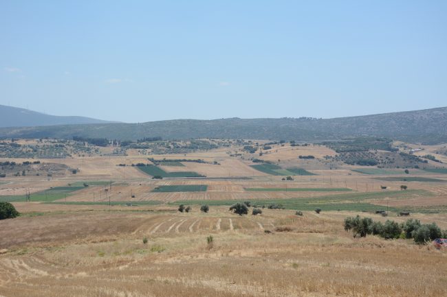 The site of the Battle of Leuctra. 