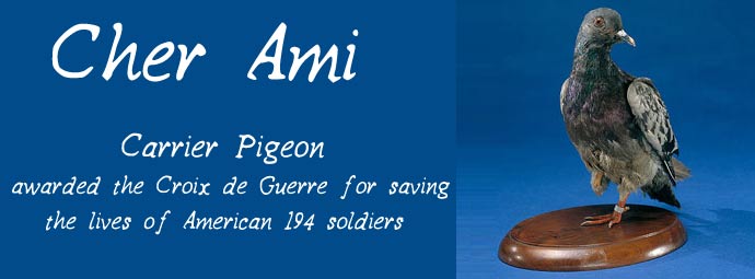 cher-ami-heroic-pigeon