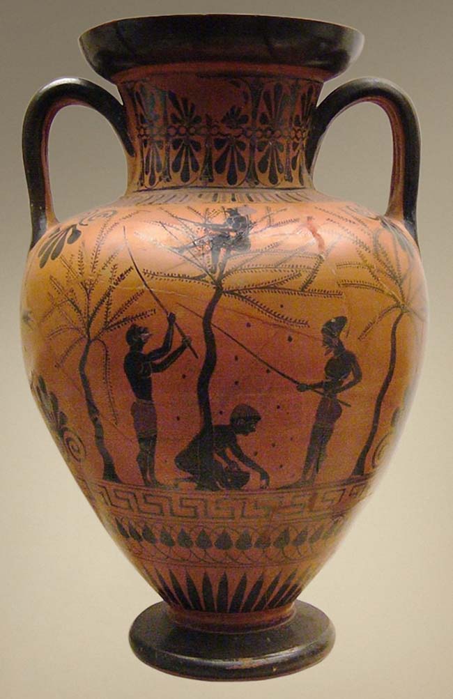 Cena de coleta de azeitonas por jovens. Ânfora de pescoço de figura preta no sótão, ca. 520 a.C. 