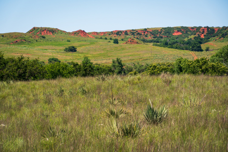 https://www.historyhit.com/app/uploads/2020/11/Washita-Battlefield.jpg