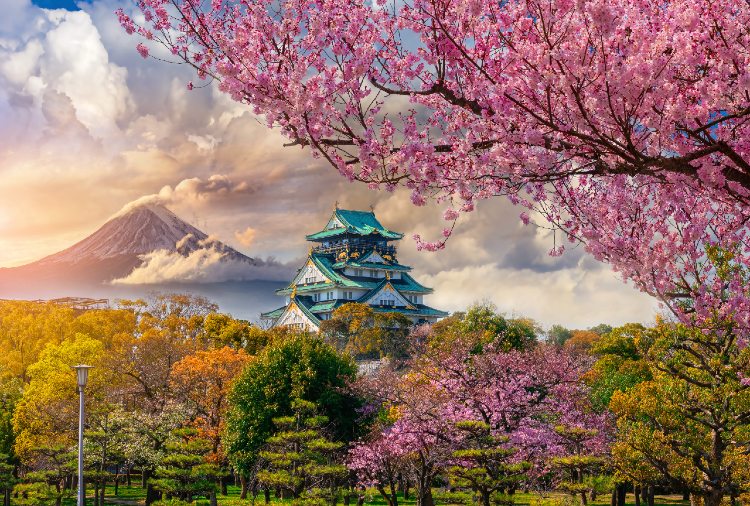 Japan's Eight Must-Visit Museums: Art Meets Nature - Japan Travel