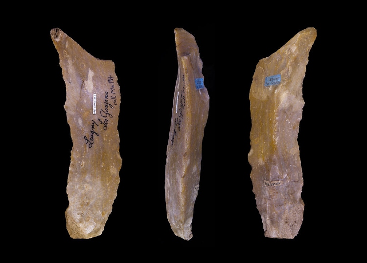 paleolithic age tools