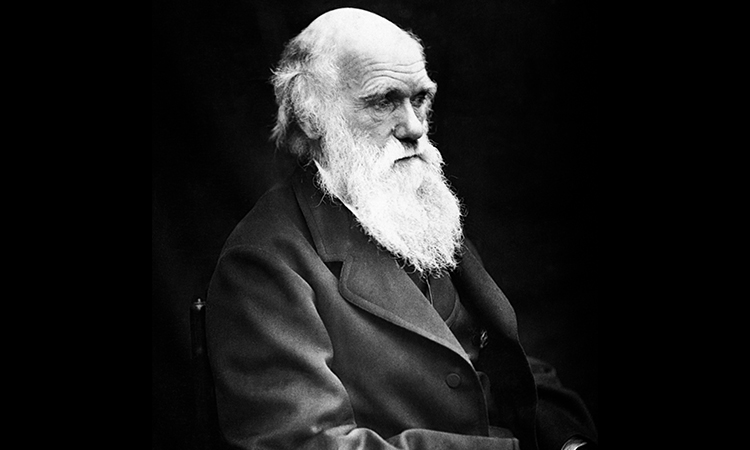 A portrait of Charles Darwin, seated.