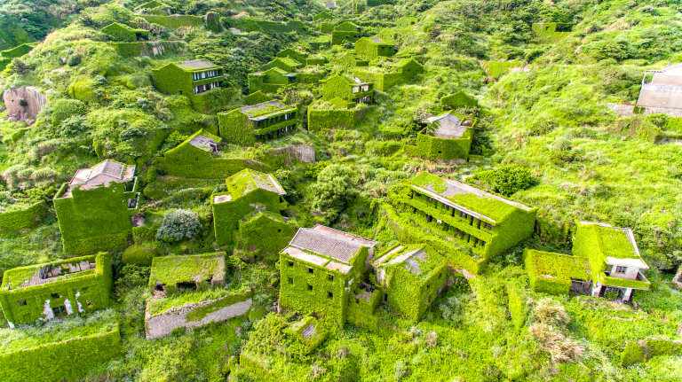 8 Striking Lost Cities and Structures Reclaimed by Nature | History Hit