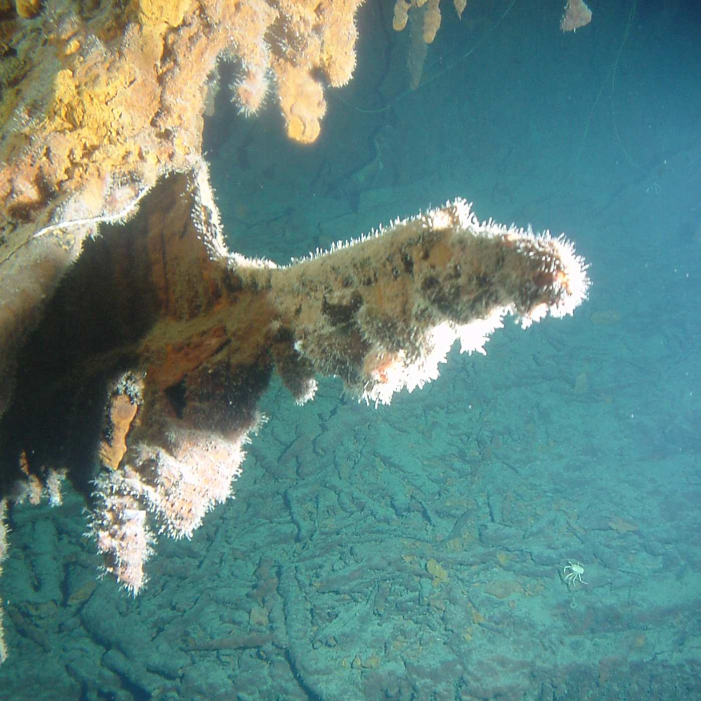 titanic bodies on ocean floor