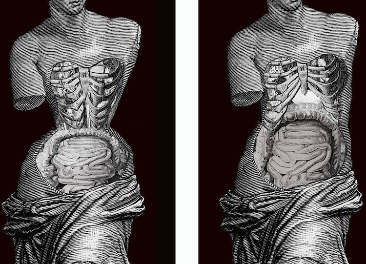 With and Without: How Wearing a Corset Affects You and Your
