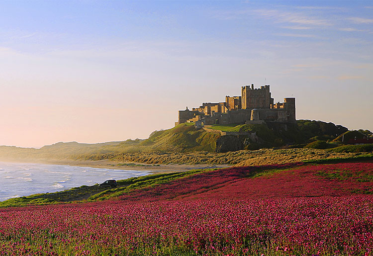The Earls of Bamburgh