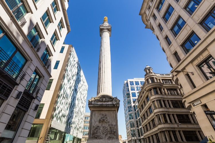 The Great Fire of London Monument History and Facts History Hit