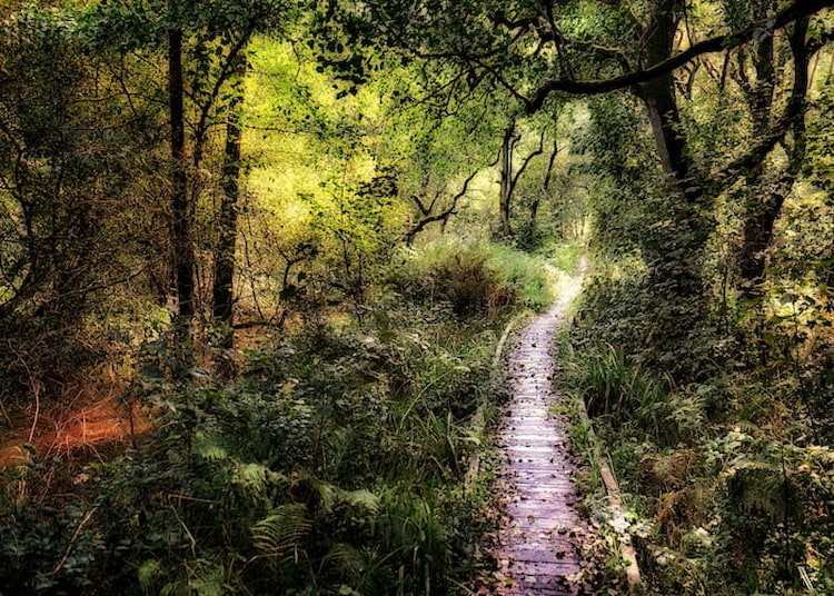 10 of the Best Historic Sites in the North York Moors | Historical ...